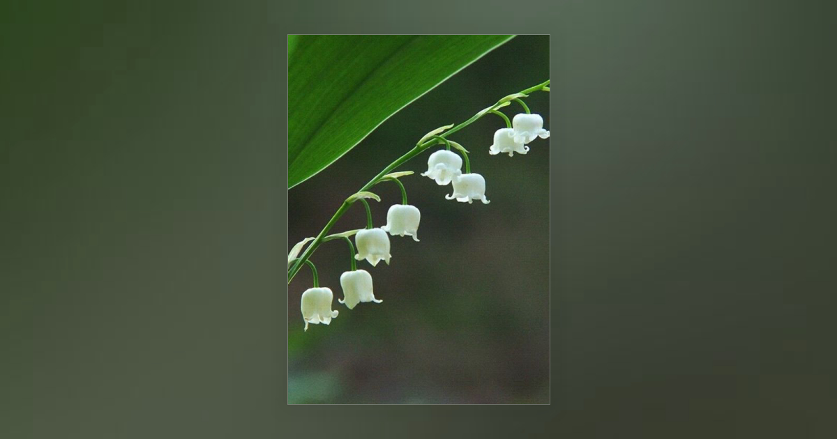 Gotopray 00 Fictionlog Gotopray 00 Fictionlog