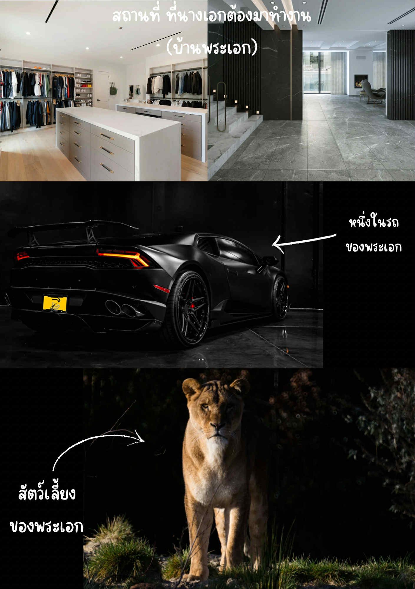 ภาพประกอบ