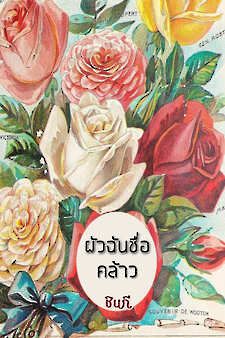 Ebook มีให้โหลดซื้อแล้วที่ Meb