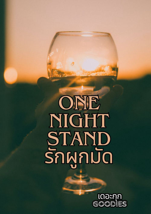 One night stand รักผูกมัด
